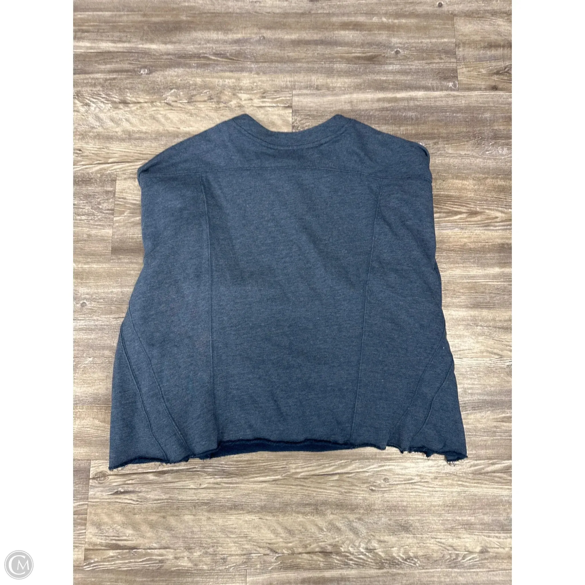 Athletic Sweatshirt Crewneck By Free People In Blue, Size: L