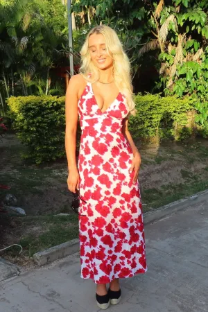 Bonita Vee Dress