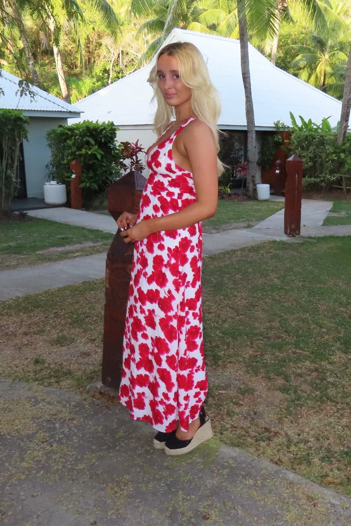 Bonita Vee Dress