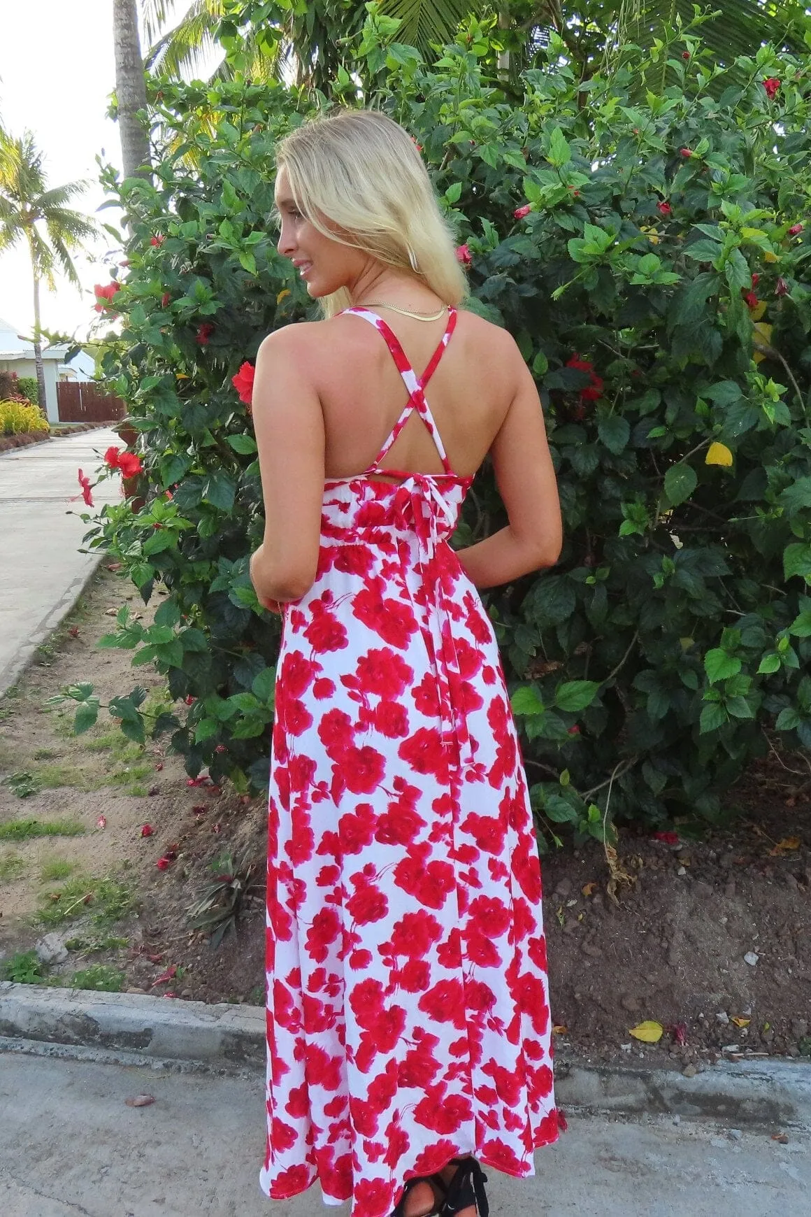 Bonita Vee Dress