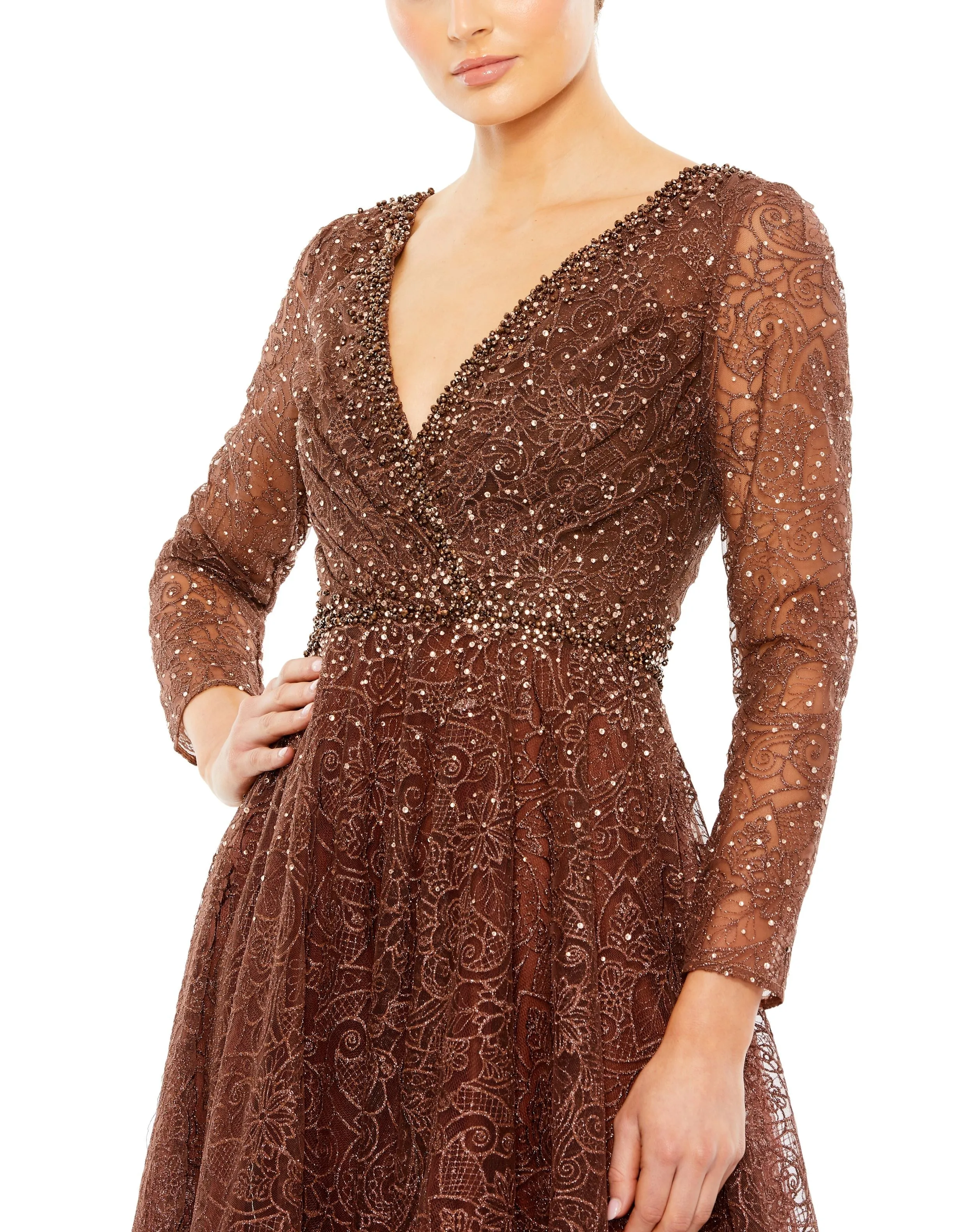 Embellished Illusion Long Sleeve V Neck Gown