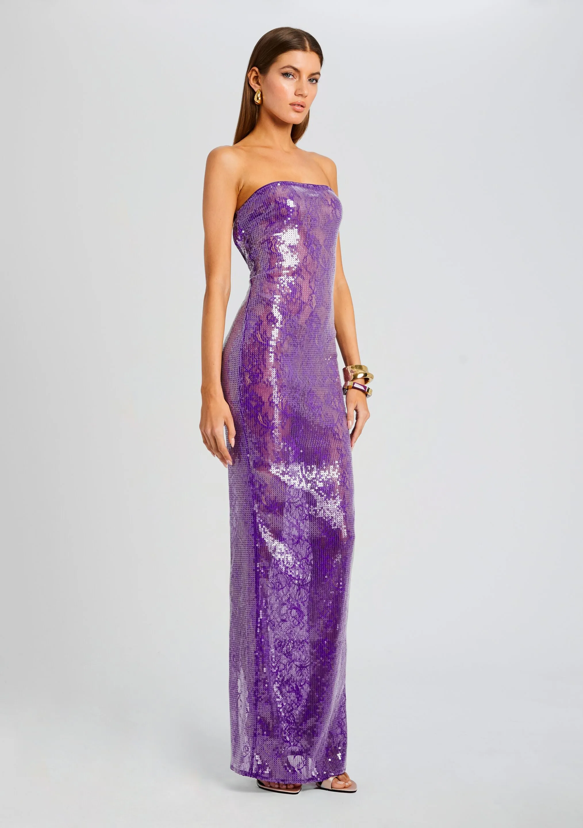 Lucia Sequin Lace Dress