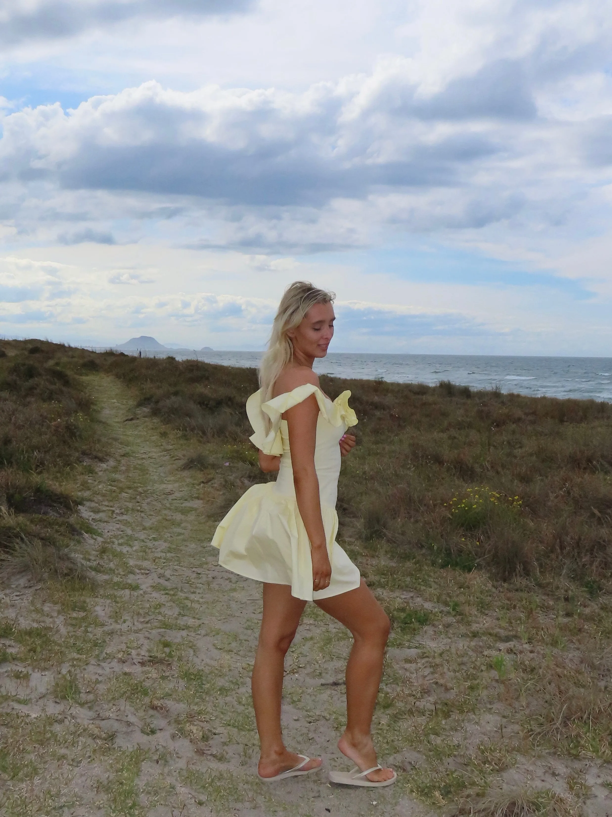 Monaco Mini Dress