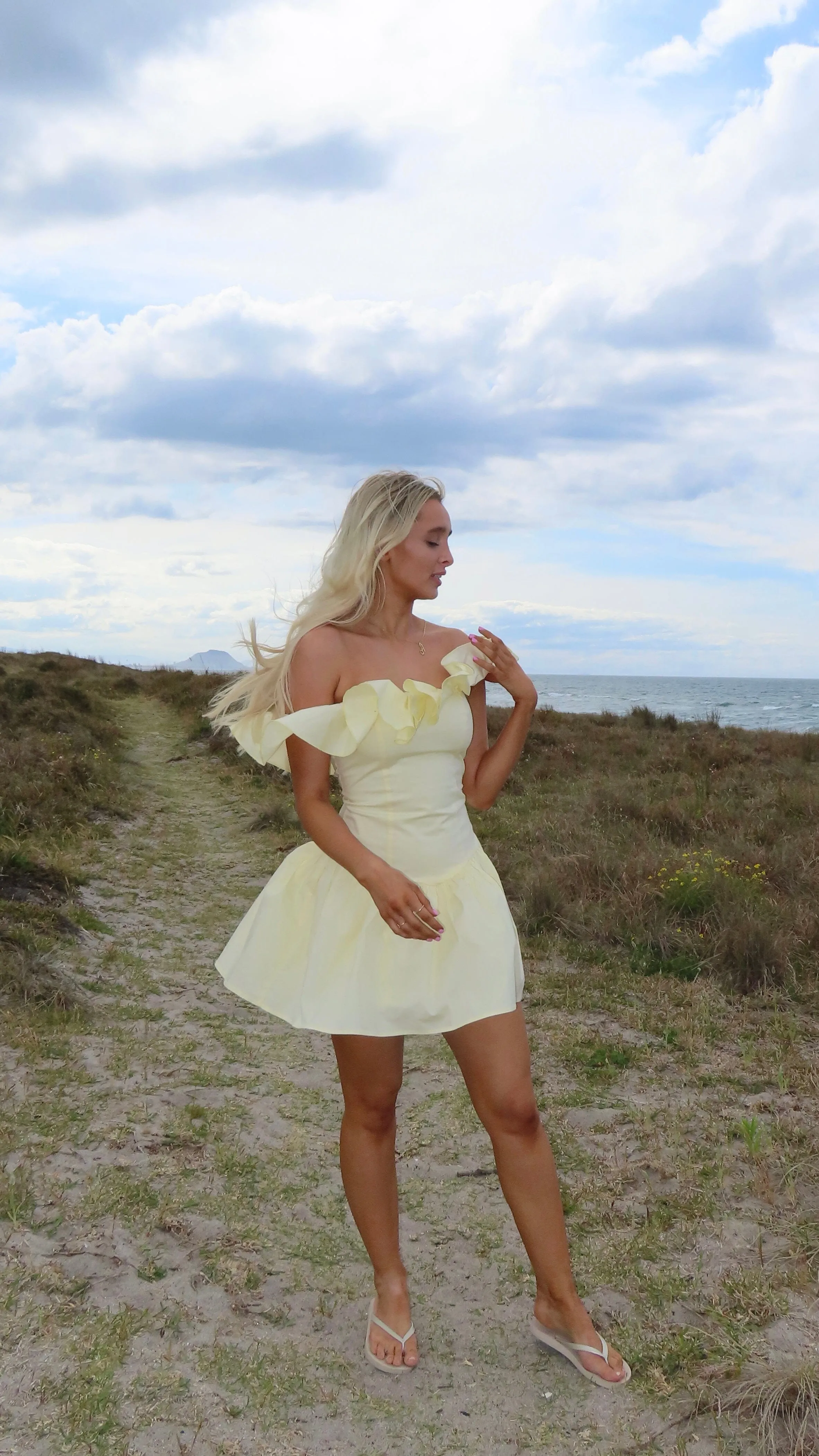 Monaco Mini Dress