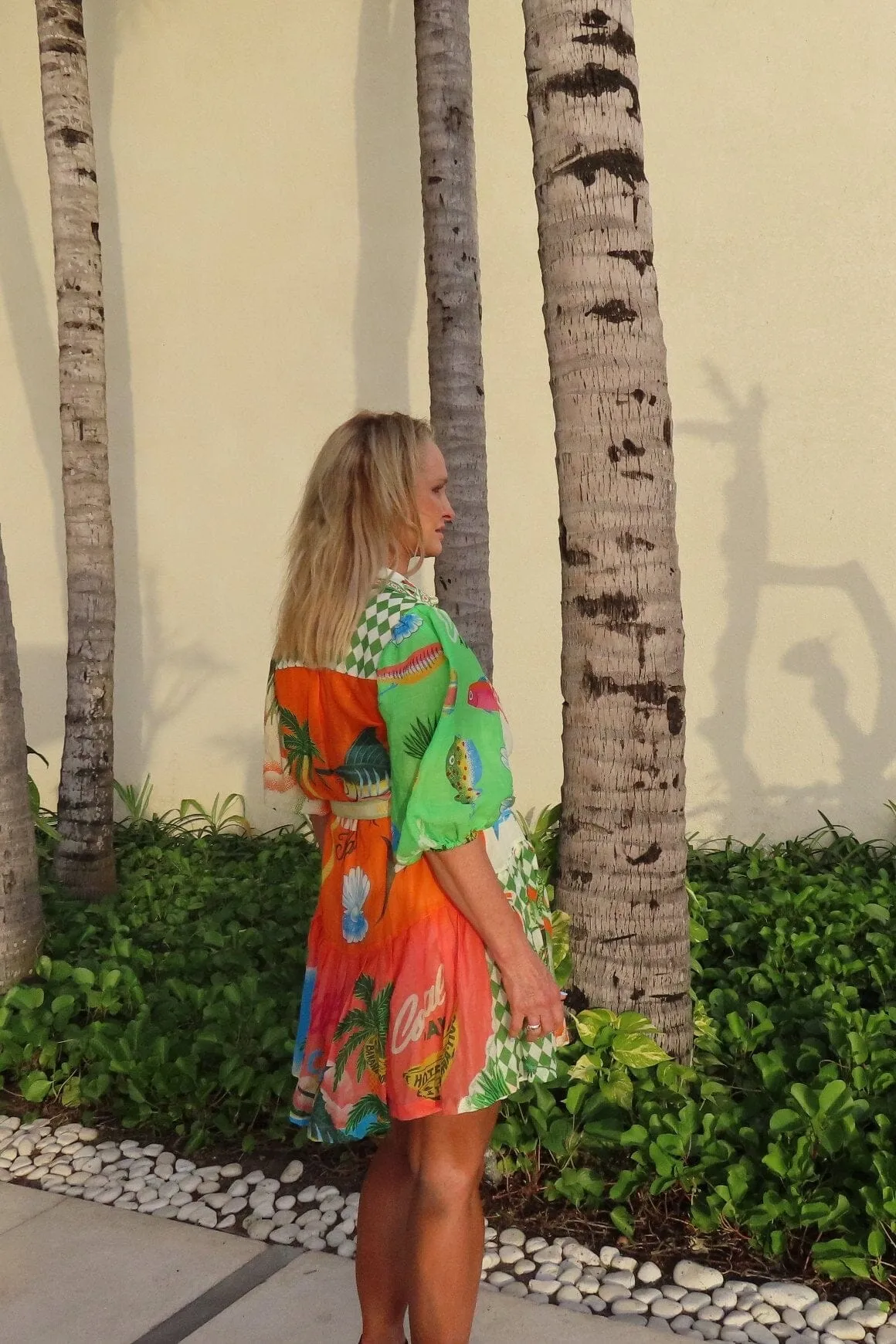 Paradiso Shirt Dress Mini