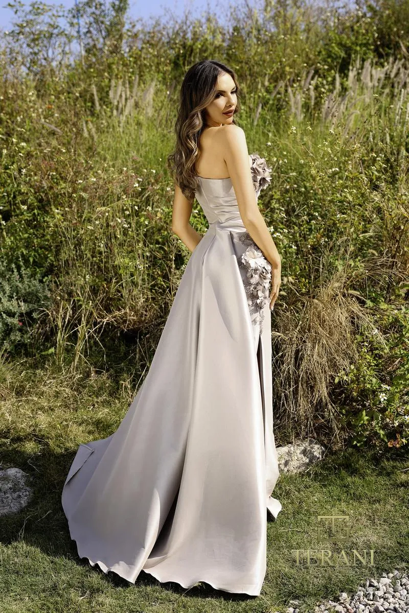 Terani Evenings Dress 252E5116