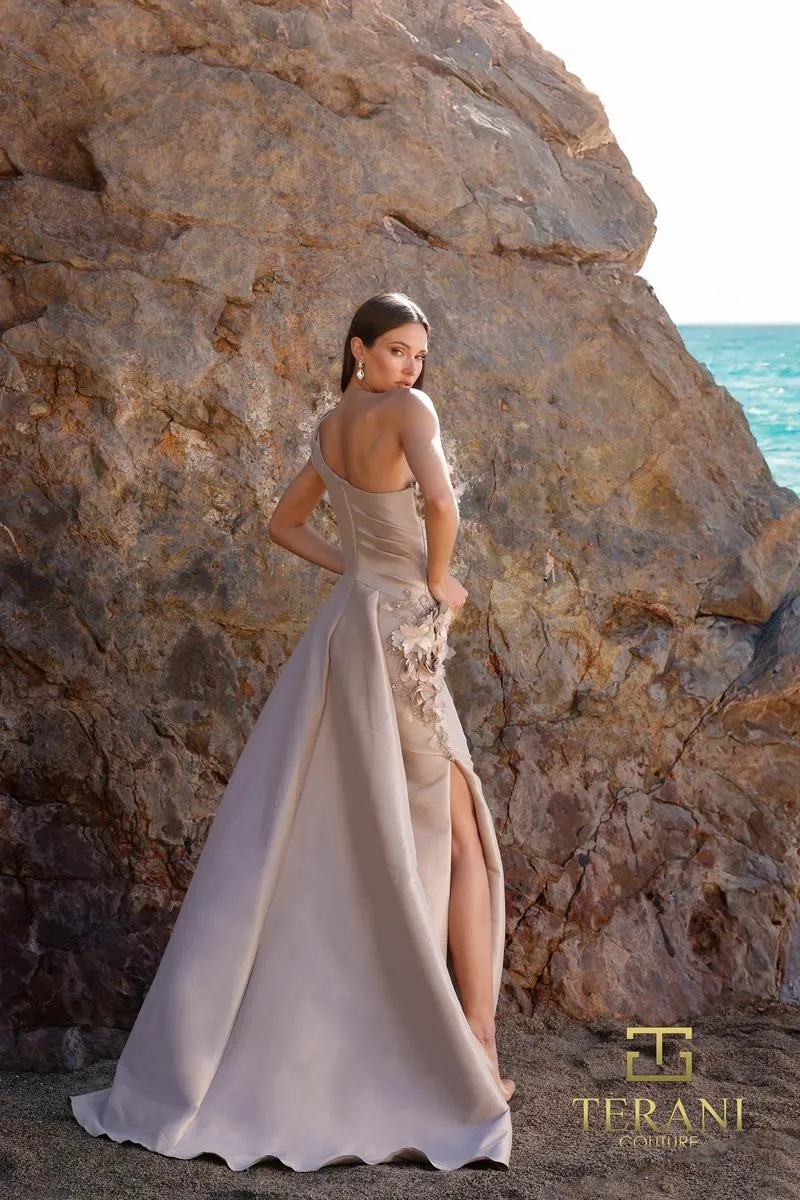 Terani Evenings Dress 252E5116