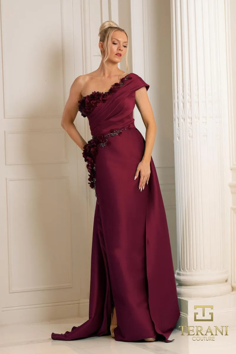 Terani Evenings Dress 252E5116